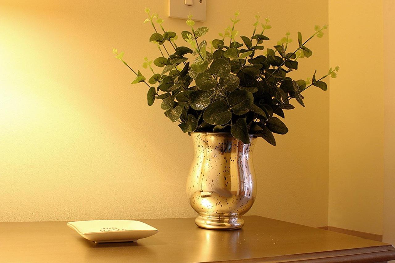Linden Apartment スターリング エクステリア 写真